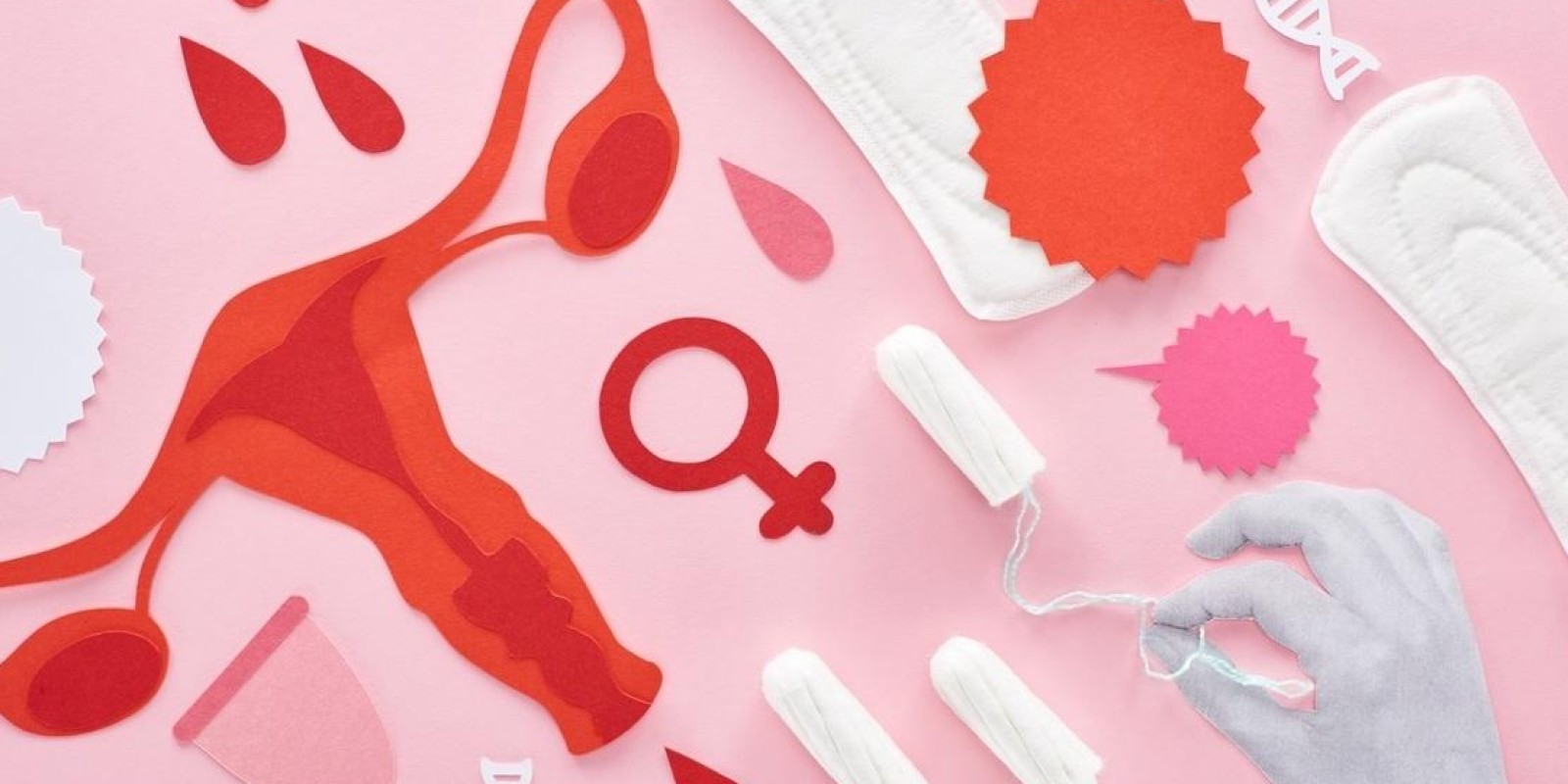 Uma solução Para a Pobreza Menstrual | Rafaella de Bona | TEDxBlumenauWomen